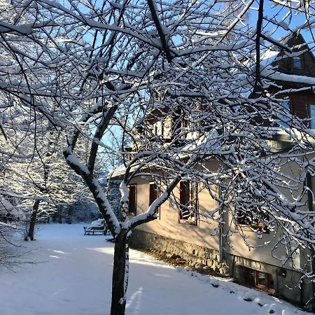 Willa Topaz Zakopane Kültér fotó