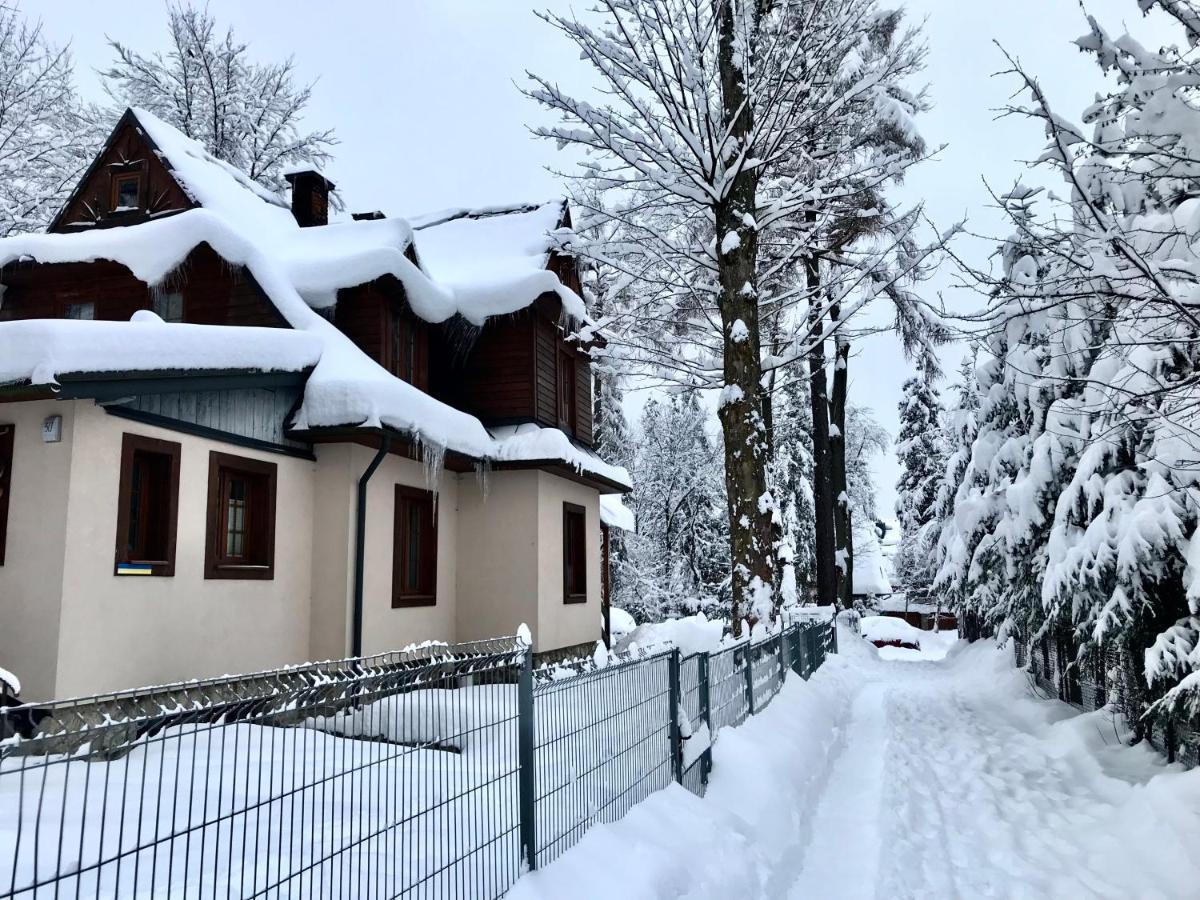 Willa Topaz Zakopane Kültér fotó